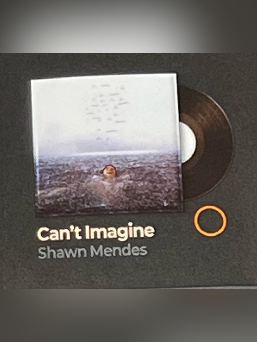 Mini Brands Vinyl Shawn Mendes “Can’t Imagine” Record New